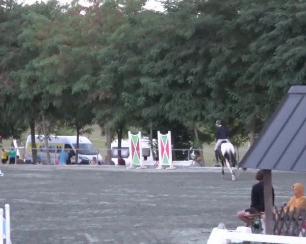 Reitturnier Horitschon 2024