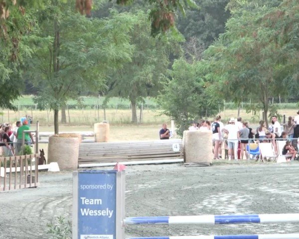 Reitturnier Horitschon 2024