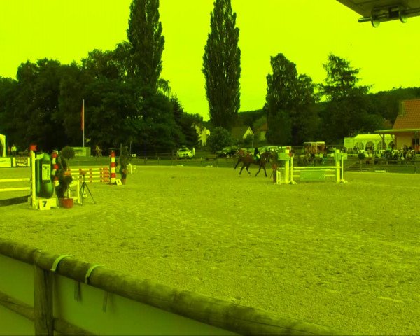 Remmighausen 2013