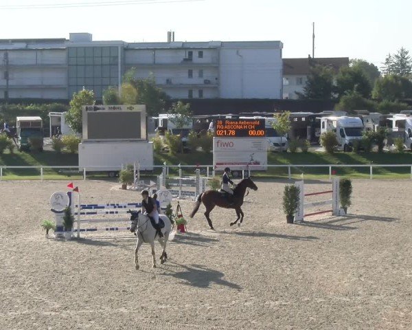 Reitturnier Bülach 2024