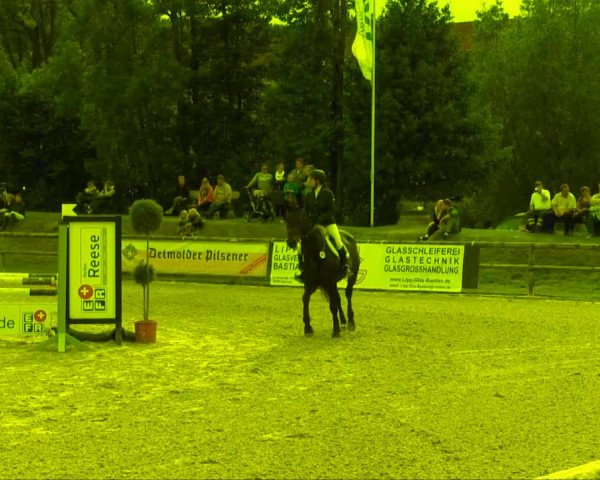 Remmighausen 2013