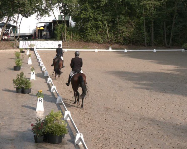 Reitturnier Köln-Flittard (Scheuerhof) 2024