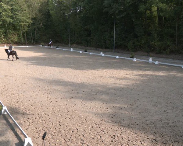 Reitturnier Köln-Flittard (Scheuerhof) 2024