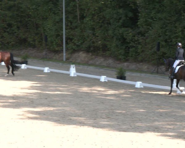 Reitturnier Köln-Flittard (Scheuerhof) 2024