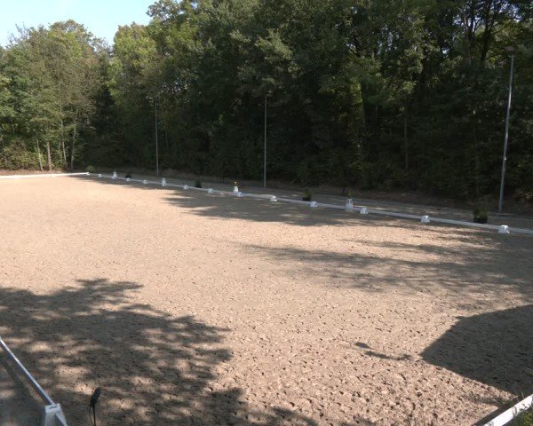 Reitturnier Köln-Flittard (Scheuerhof) 2024