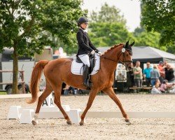 broodmare Reitland's Jade (German Riding Pony, 2011, from High Flow's Oxford)