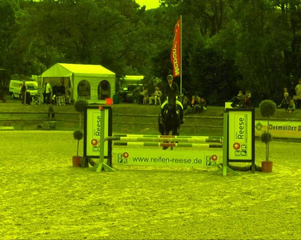 Remmighausen 2013