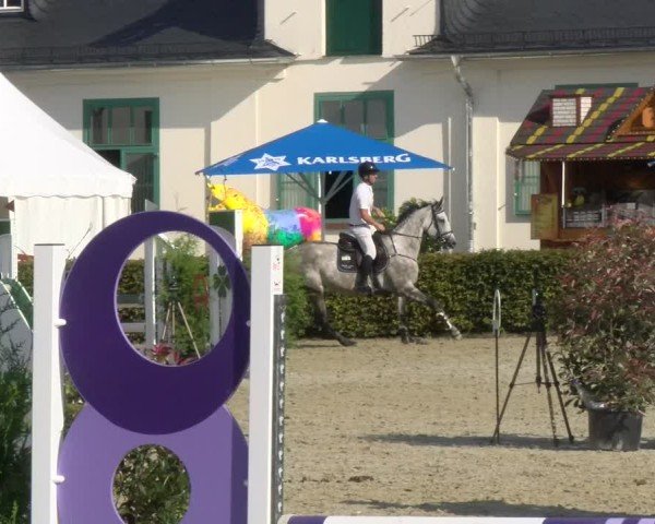 Reitturnier St.Wendel, Gestüt Welvert 2024