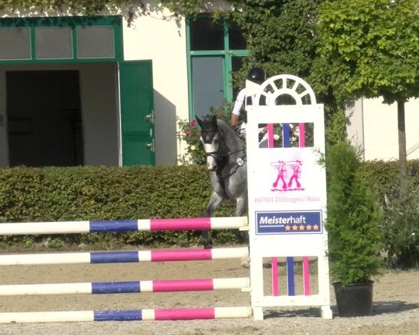 Reitturnier St.Wendel, Gestüt Welvert 2024