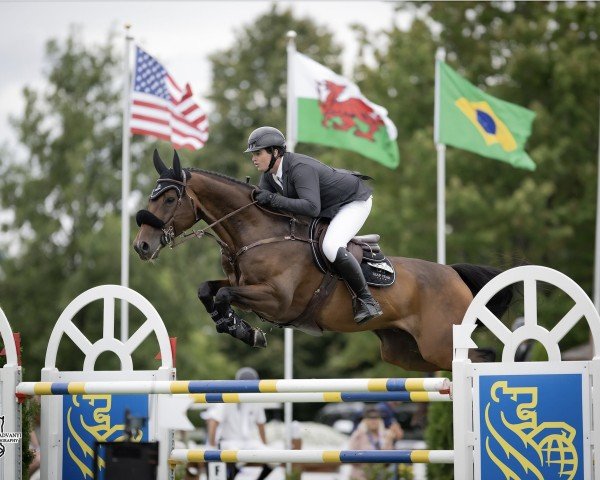 jumper El Balou OLD (Oldenburg show jumper, 2012, from Eldorado van de Zeshoek)
