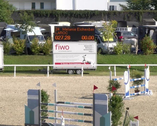 Reitturnier Bülach 2024