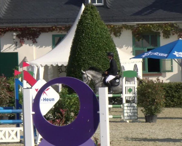Reitturnier St.Wendel, Gestüt Welvert 2024
