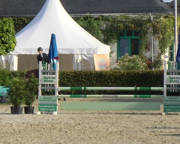 Reitturnier St.Wendel, Gestüt Welvert 2024