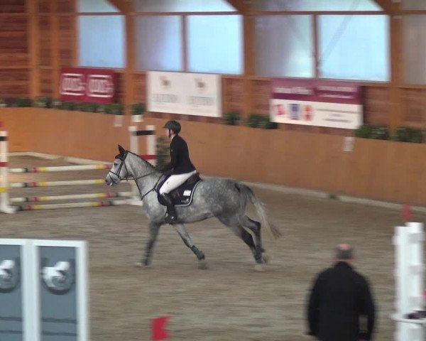 Springturnier Xanten - Reitanlage Miss 2021