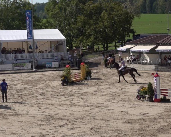 Reitturnier Humlikon 2024