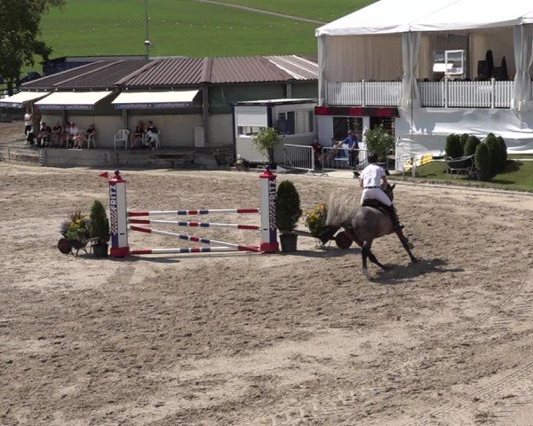 Reitturnier Humlikon 2024