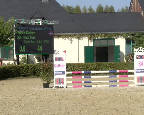 Reitturnier St.Wendel, Gestüt Welvert 2024