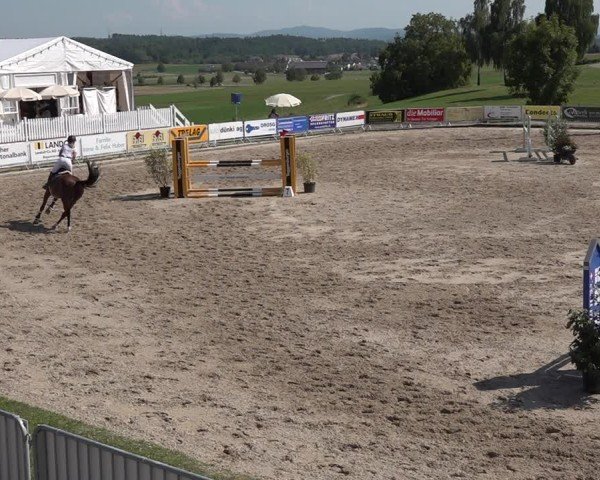 Reitturnier Humlikon 2024
