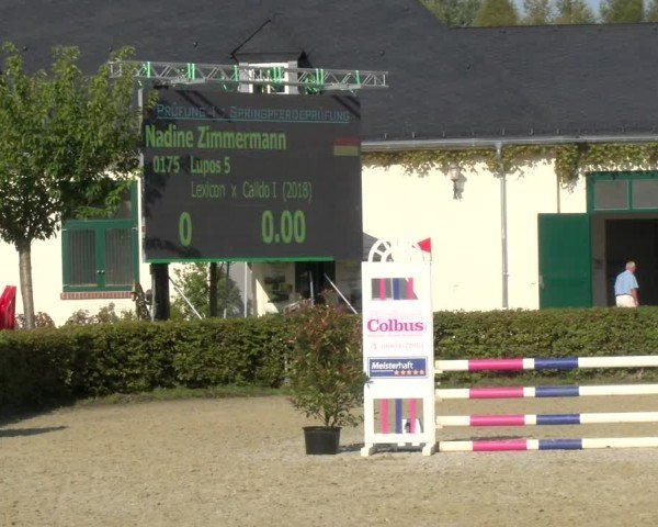Reitturnier St.Wendel, Gestüt Welvert 2024