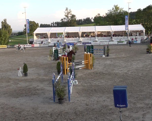 Reitturnier Humlikon 2024
