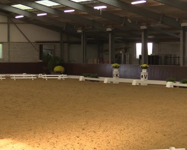 Reitturnier Kirchhellen-RSV Zur Linde 2021
