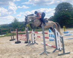 jumper Cubi's Gold (Holsteiner, 2017, from Cancara)