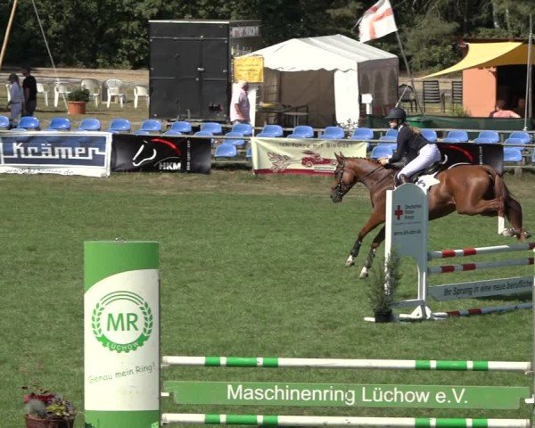 Reitturnier Dannenberg 2024