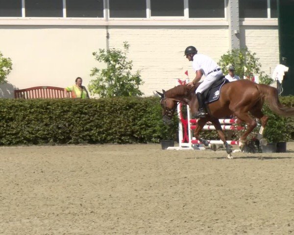 Reitturnier St.Wendel, Gestüt Welvert 2024