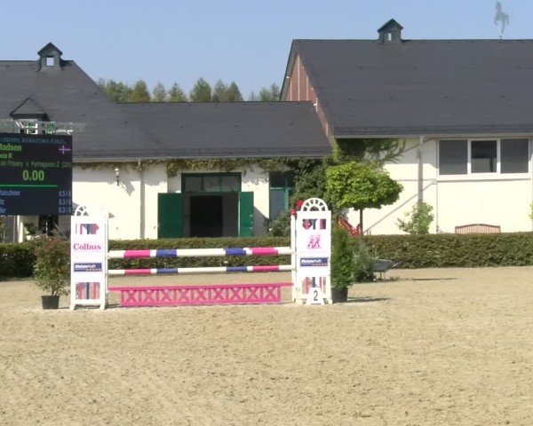 Reitturnier St.Wendel, Gestüt Welvert 2024