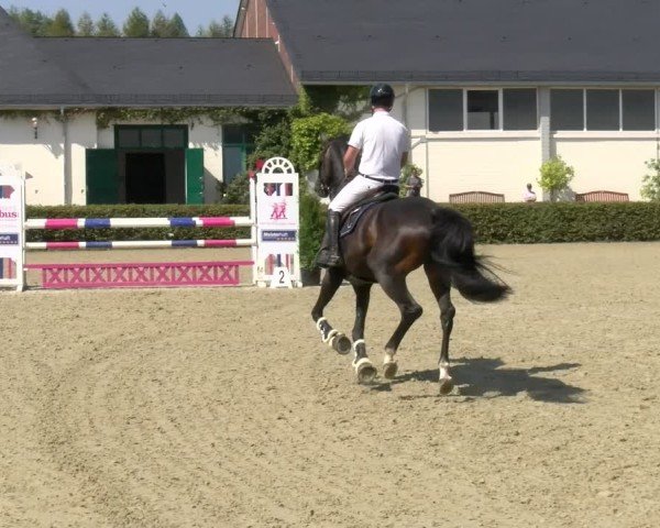 Reitturnier St.Wendel, Gestüt Welvert 2024