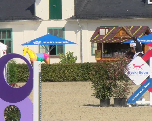 Reitturnier St.Wendel, Gestüt Welvert 2024