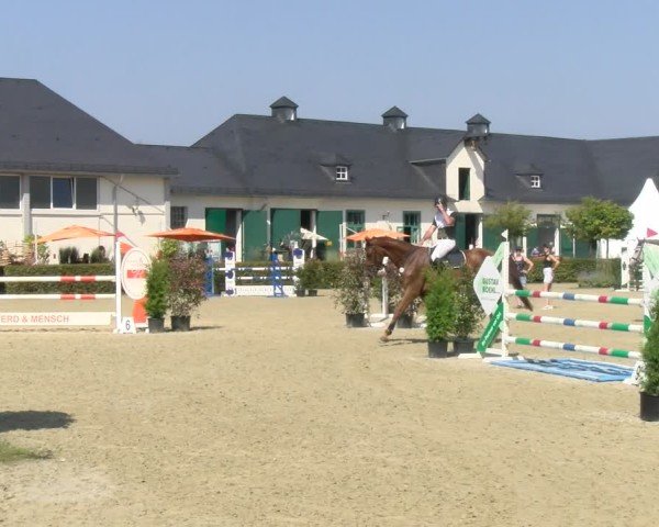 Reitturnier St.Wendel, Gestüt Welvert 2024
