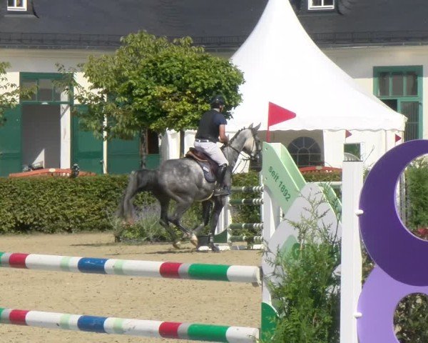 Reitturnier St.Wendel, Gestüt Welvert 2024