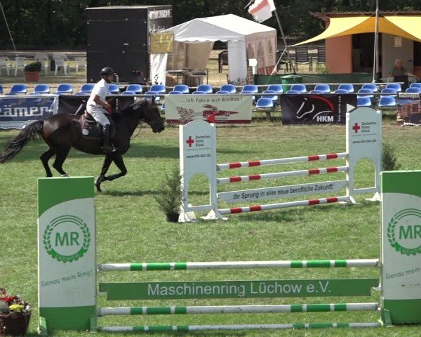 Reitturnier Dannenberg 2024