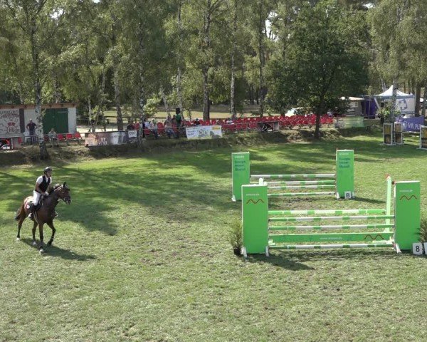 Reitturnier Dannenberg 2024