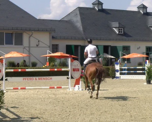 Reitturnier St.Wendel, Gestüt Welvert 2024