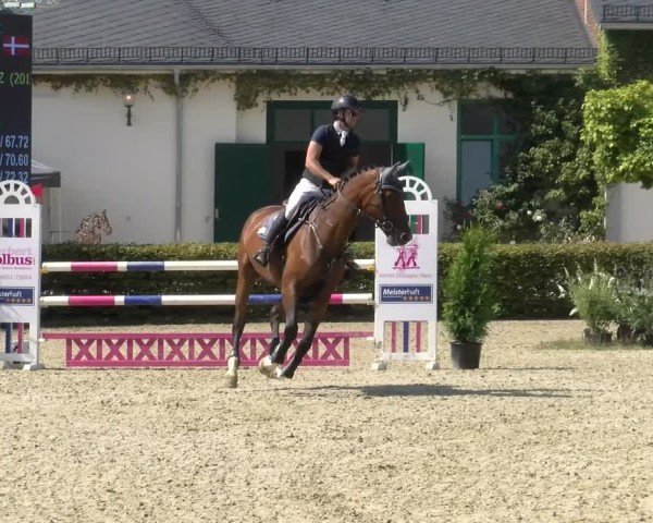 Reitturnier St.Wendel, Gestüt Welvert 2024