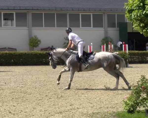 Reitturnier St.Wendel, Gestüt Welvert 2024