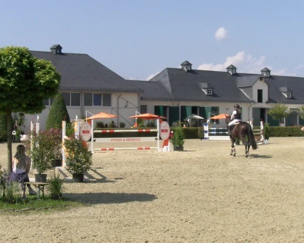 Reitturnier St.Wendel, Gestüt Welvert 2024
