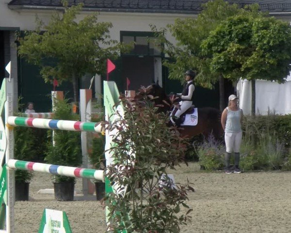 Reitturnier St.Wendel, Gestüt Welvert 2024