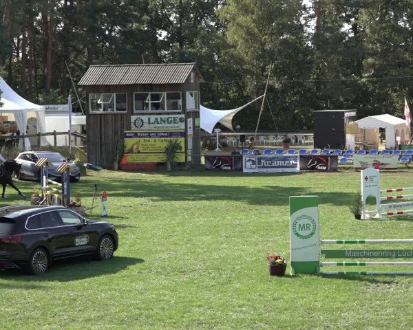 Reitturnier Dannenberg 2024