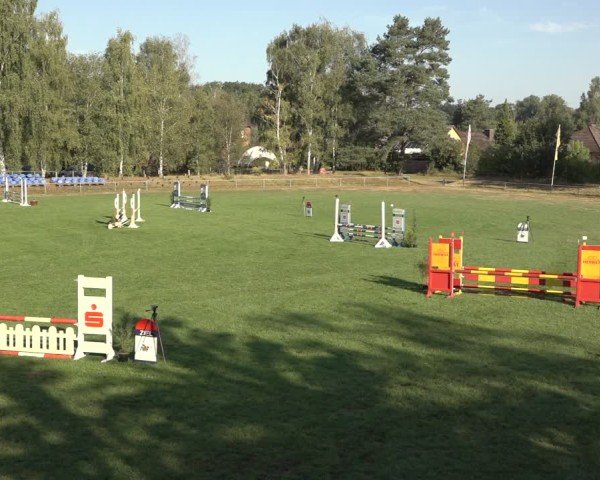 Reitturnier Dannenberg 2024
