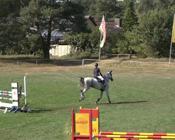 Reitturnier Dannenberg 2024