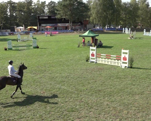 Reitturnier Dannenberg 2024