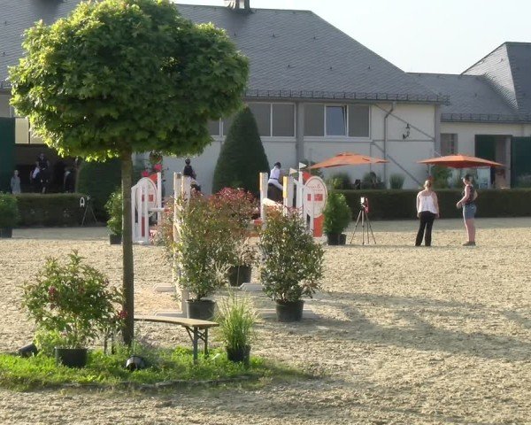 Reitturnier St.Wendel, Gestüt Welvert 2024