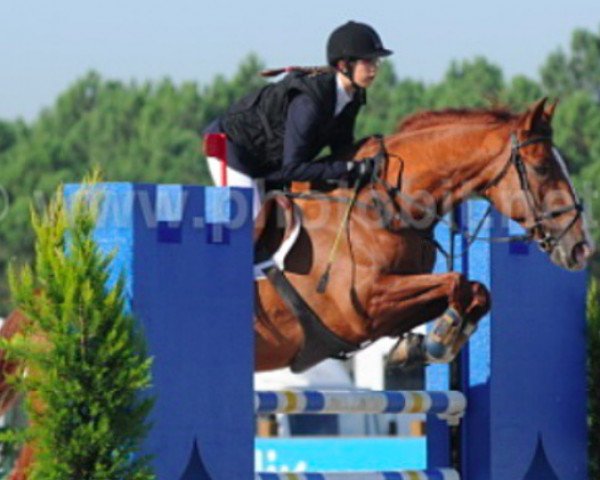 horse Klipper du Joret (Selle Français, 1998, from Flipper d'Elle)