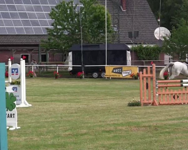 Reit- und Springturnier am 15.-16.06.2013 in Hamminkeln-Dingden