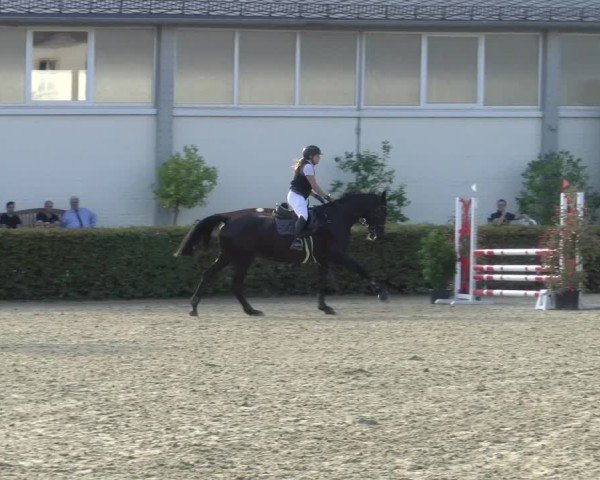 Reitturnier St.Wendel, Gestüt Welvert 2024