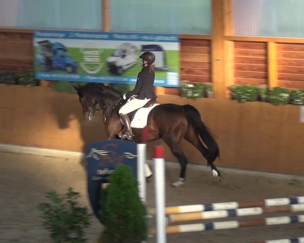 Springturnier Xanten - Reitanlage Miss 2021