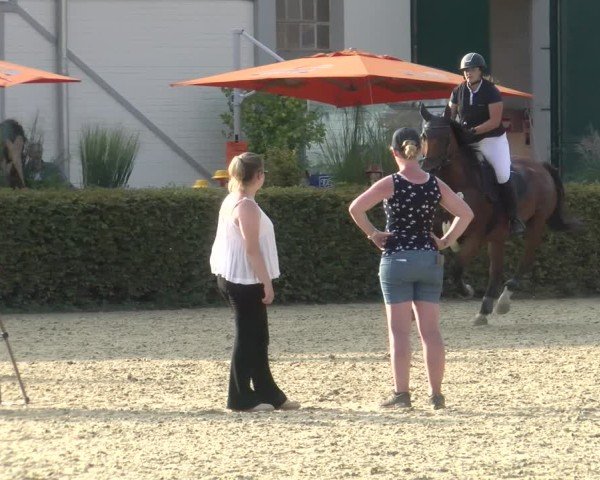 Reitturnier St.Wendel, Gestüt Welvert 2024
